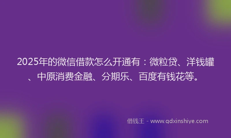 2025年的微信借款怎么开通有：微粒贷、洋钱罐、中原消费金融、分期乐、百度有钱花等。