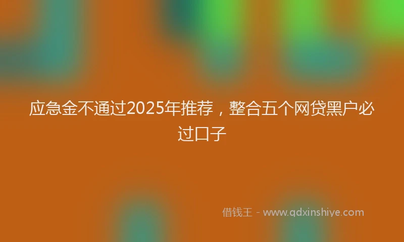 应急金不通过2025年推荐，整合五个网贷黑户必过口子