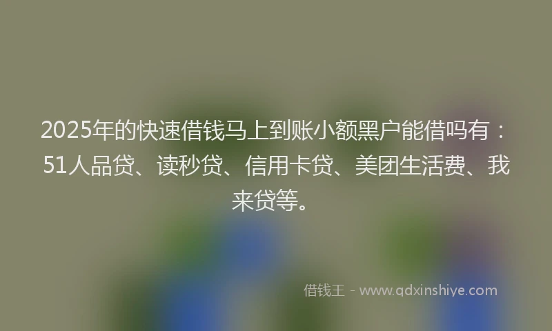 2025年的快速借钱马上到账小额黑户能借吗有：51人品贷、读秒贷、信用卡贷、美团生活费、我来贷等。