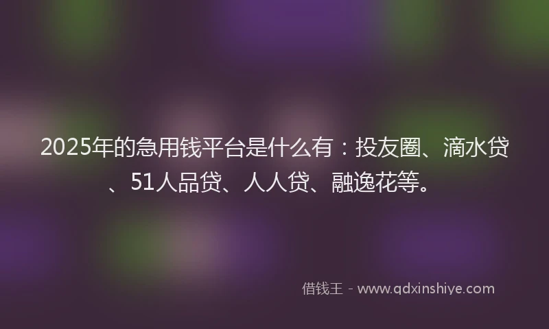 2025年的急用钱平台是什么有：投友圈、滴水贷、51人品贷、人人贷、融逸花等。
