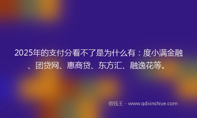 2025年的支付分看不了是为什么有：度小满金融、团贷网、惠商贷、东方汇、融逸花等。