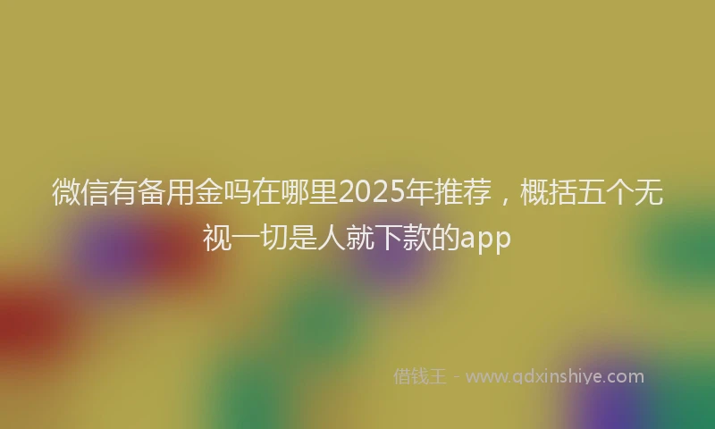 微信有备用金吗在哪里2025年推荐，概括五个无视一切是人就下款的app