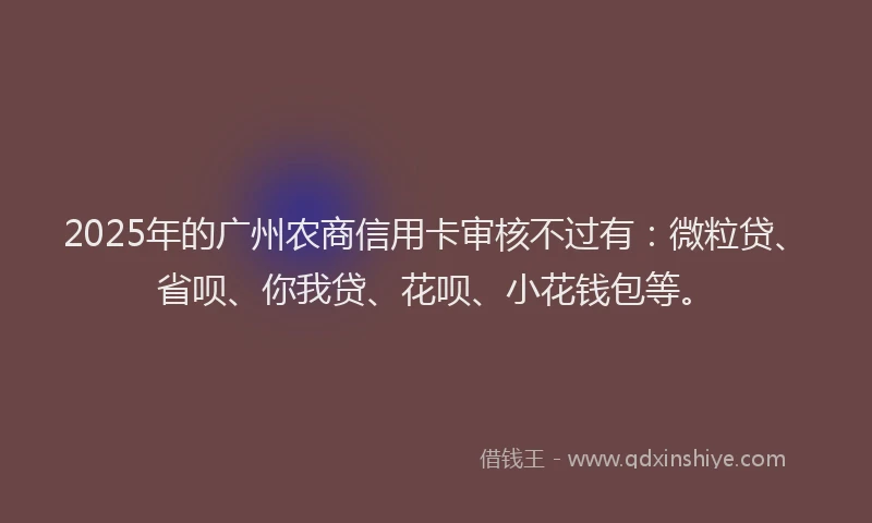 2025年的广州农商信用卡审核不过有：微粒贷、省呗、你我贷、花呗、小花钱包等。