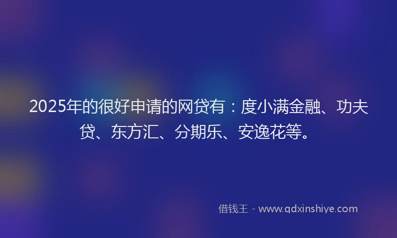 2025年的很好申请的网贷有：度小满金融、功夫贷、东方汇、分期乐、安逸花等。