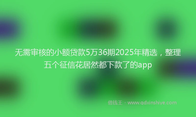 无需审核的小额贷款5万36期2025年精选，整理五个征信花居然都下款了的app