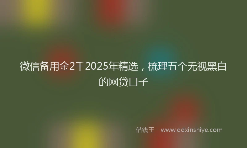 微信备用金2千2025年精选，梳理五个无视黑白的网贷口子