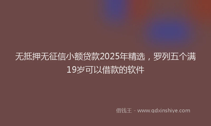 无抵押无征信小额贷款2025年精选，罗列五个满19岁可以借款的软件