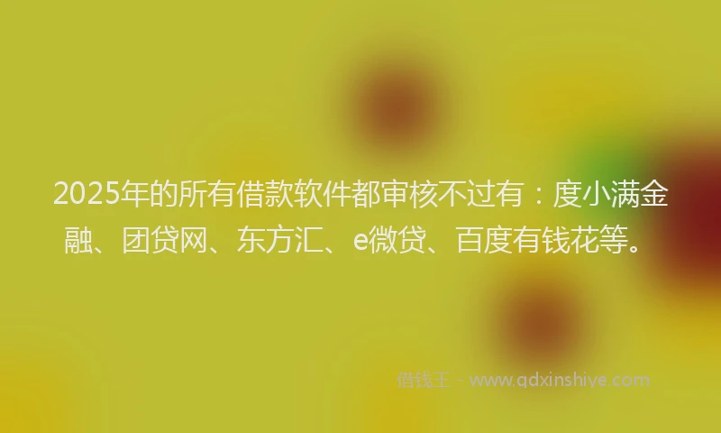 2025年的所有借款软件都审核不过有：度小满金融、团贷网、东方汇、e微贷、百度有钱花等。