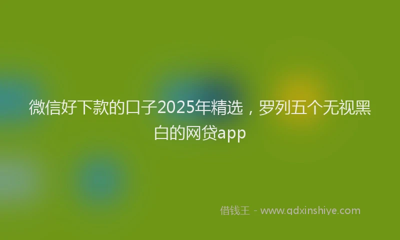 微信好下款的口子2025年精选，罗列五个无视黑白的网贷app