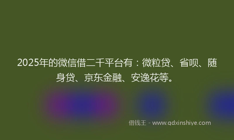 2025年的微信借二千平台有：微粒贷、省呗、随身贷、京东金融、安逸花等。