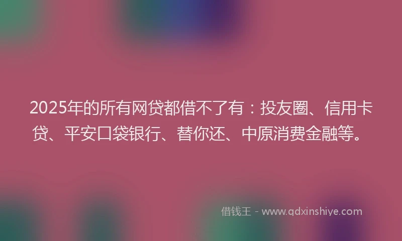 2025年的所有网贷都借不了有：投友圈、信用卡贷、平安口袋银行、替你还、中原消费金融等。