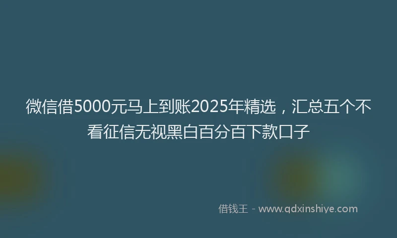 微信借5000元马上到账2025年精选，汇总五个不看征信无视黑白百分百下款口子