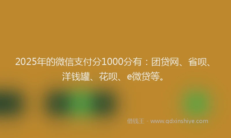 2025年的微信支付分1000分有：团贷网、省呗、洋钱罐、花呗、e微贷等。