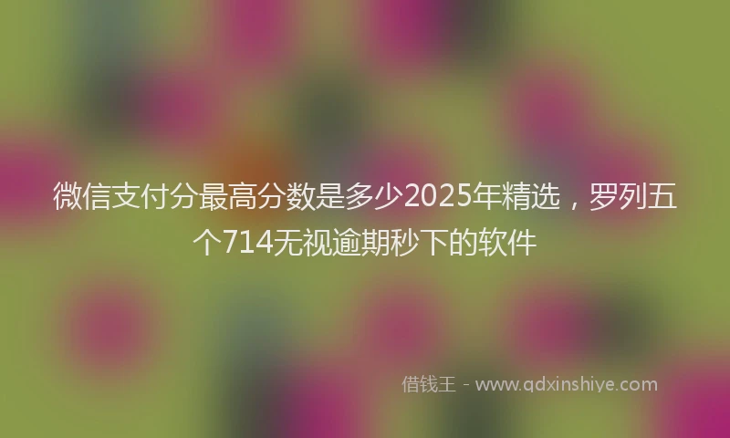微信支付分最高分数是多少2025年精选，罗列五个714无视逾期秒下的软件