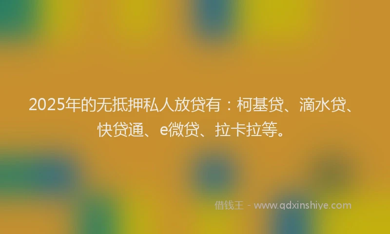 2025年的无抵押私人放贷有：柯基贷、滴水贷、快贷通、e微贷、拉卡拉等。