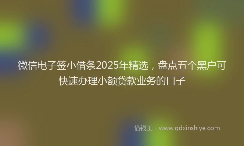 微信电子签小借条2025年精选，盘点五个黑户可快速办理小额贷款业务的口子