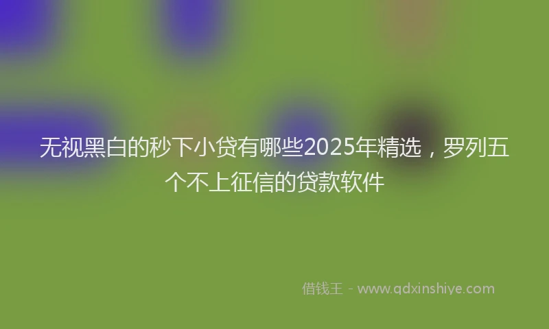 无视黑白的秒下小贷有哪些2025年精选，罗列五个不上征信的贷款软件