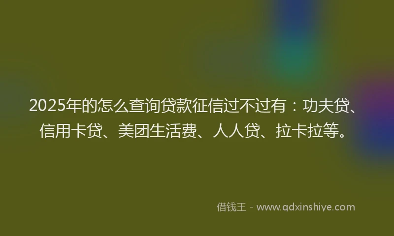 2025年的怎么查询贷款征信过不过有：功夫贷、信用卡贷、美团生活费、人人贷、拉卡拉等。