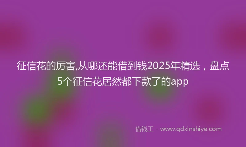 征信花的厉害,从哪还能借到钱2025年精选，盘点5个征信花居然都下款了的app