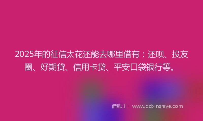 2025年的征信太花还能去哪里借有：还呗、投友圈、好期贷、信用卡贷、平安口袋银行等。