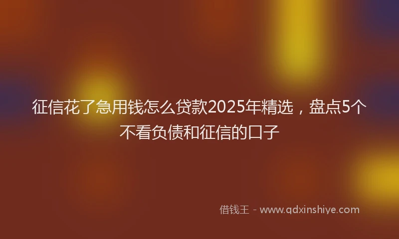 征信花了急用钱怎么贷款2025年精选，盘点5个不看负债和征信的口子
