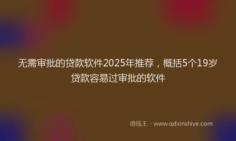 无需审批的贷款软件2025年推荐，概括5个19岁贷款容易过审批的软件