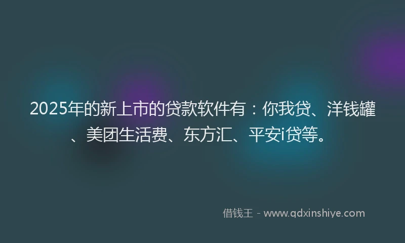 2025年的新上市的贷款软件有：你我贷、洋钱罐、美团生活费、东方汇、平安i贷等。