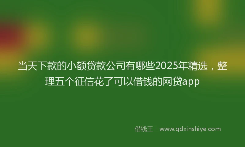 当天下款的小额贷款公司有哪些2025年精选，整理五个征信花了可以借钱的网贷app