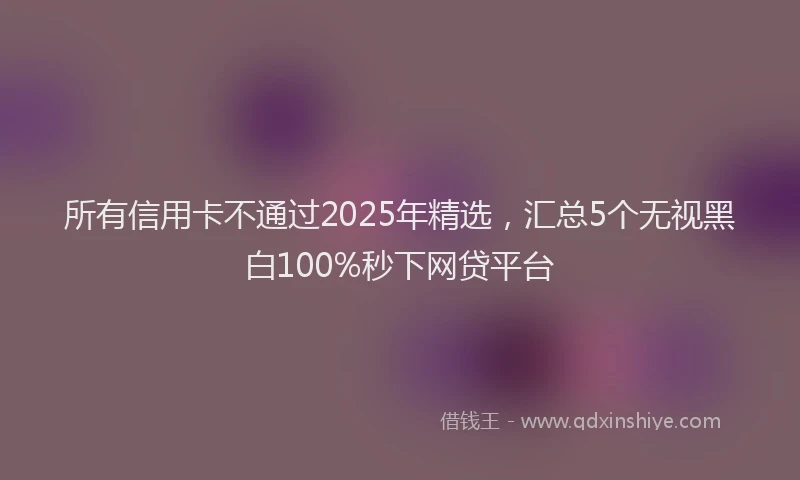 所有信用卡不通过2025年精选，汇总5个无视黑白100%秒下网贷平台
