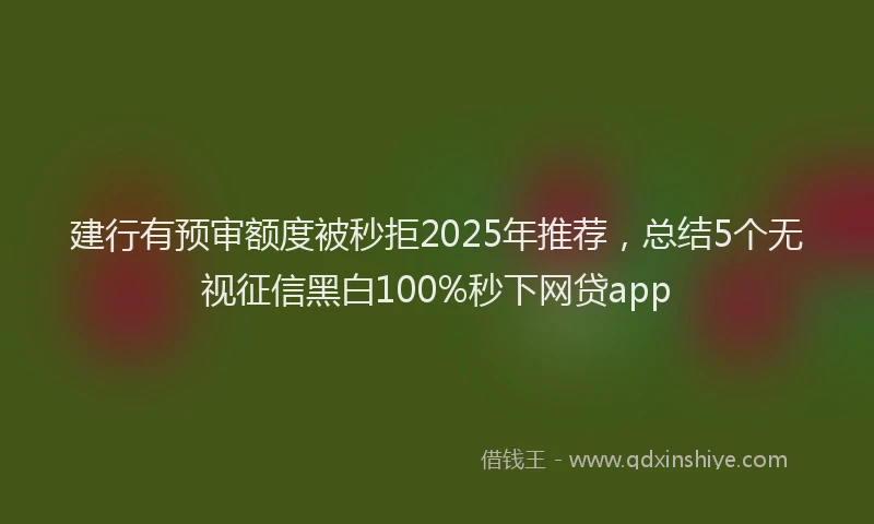 建行有预审额度被秒拒2025年推荐，总结5个无视征信黑白100%秒下网贷app