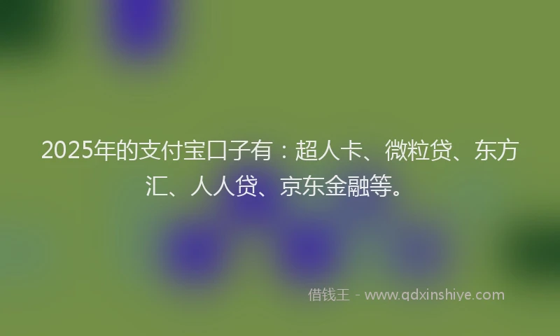 2025年的支付宝口子有：超人卡、微粒贷、东方汇、人人贷、京东金融等。