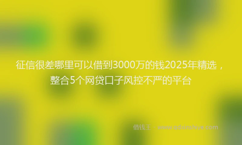 征信很差哪里可以借到3000万的钱2025年精选，整合5个网贷口子风控不严的平台