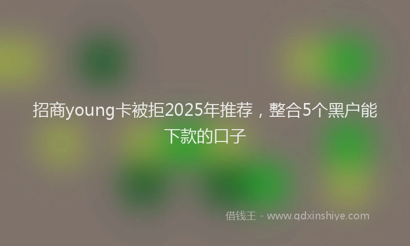 招商young卡被拒2025年推荐，整合5个黑户能下款的口子