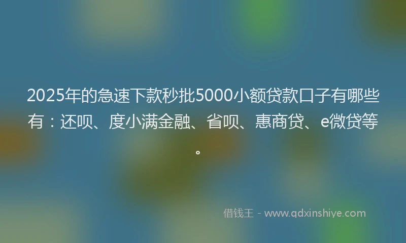 2025年的急速下款秒批5000小额贷款口子有哪些有：还呗、度小满金融、省呗、惠商贷、e微贷等。