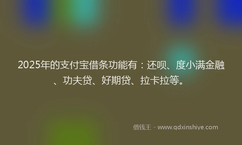 2025年的支付宝借条功能有：还呗、度小满金融、功夫贷、好期贷、拉卡拉等。