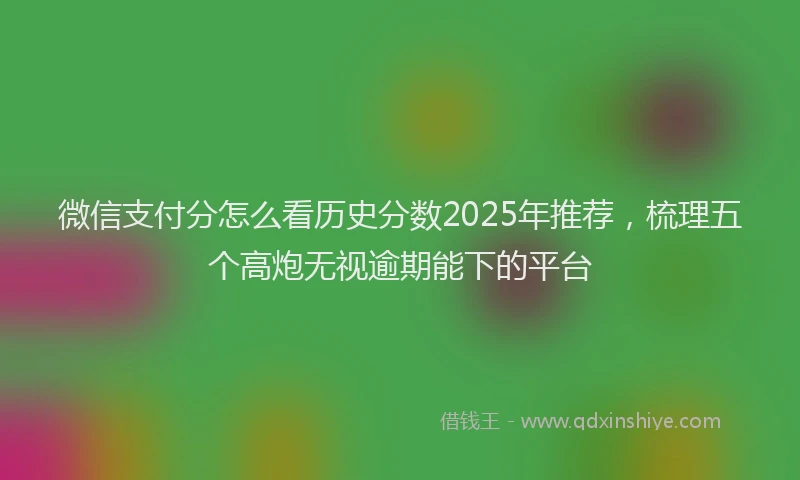 微信支付分怎么看历史分数2025年推荐，梳理五个高炮无视逾期能下的平台