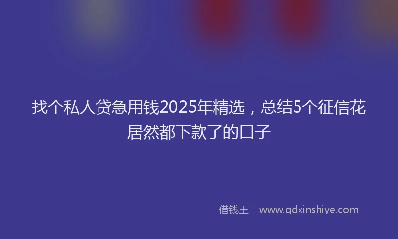找个私人贷急用钱2025年精选，总结5个征信花居然都下款了的口子