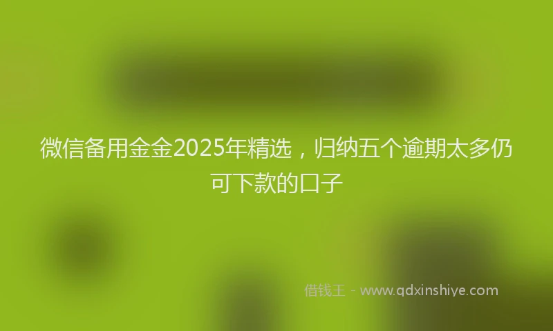 微信备用金金2025年精选，归纳五个逾期太多仍可下款的口子