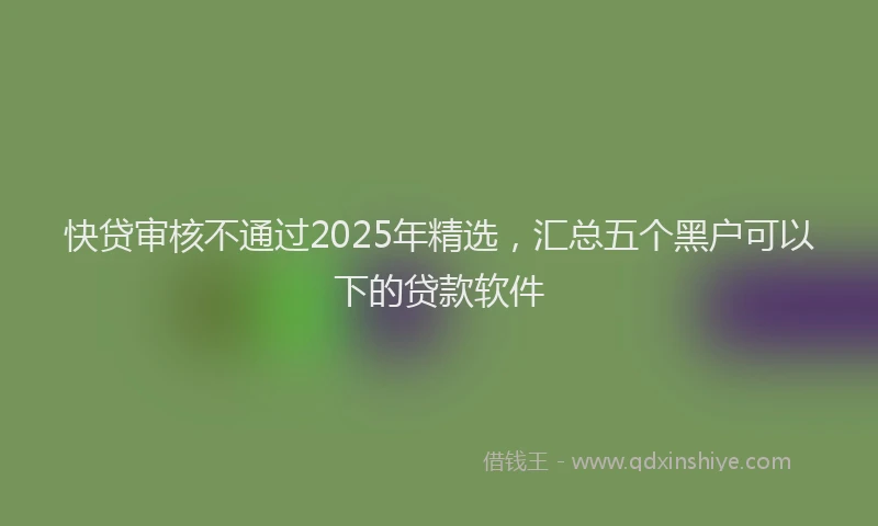 快贷审核不通过2025年精选，汇总五个黑户可以下的贷款软件