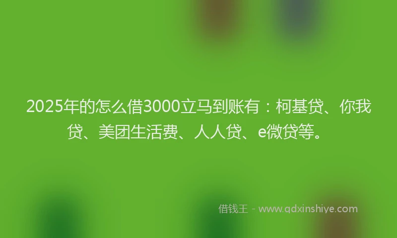 2025年的怎么借3000立马到账有：柯基贷、你我贷、美团生活费、人人贷、e微贷等。