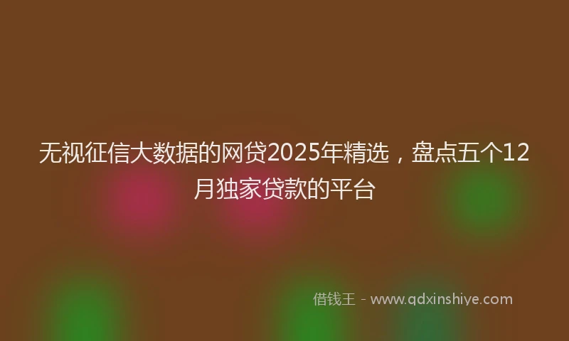 无视征信大数据的网贷2025年精选，盘点五个12月独家贷款的平台