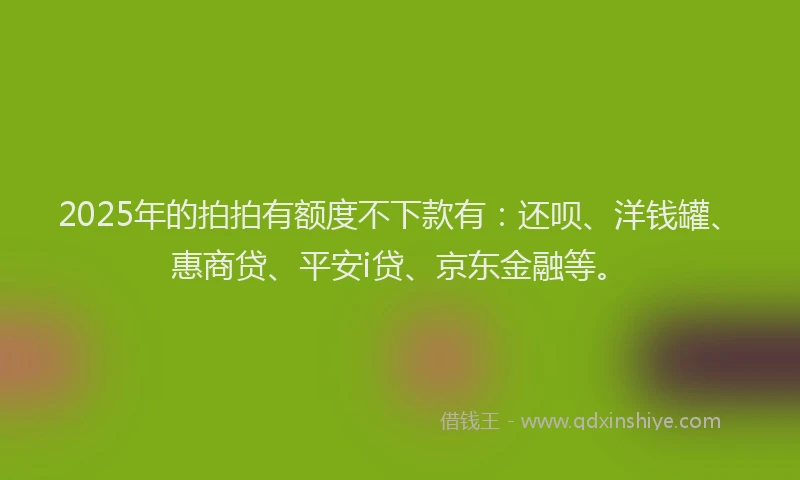 2025年的拍拍有额度不下款有：还呗、洋钱罐、惠商贷、平安i贷、京东金融等。
