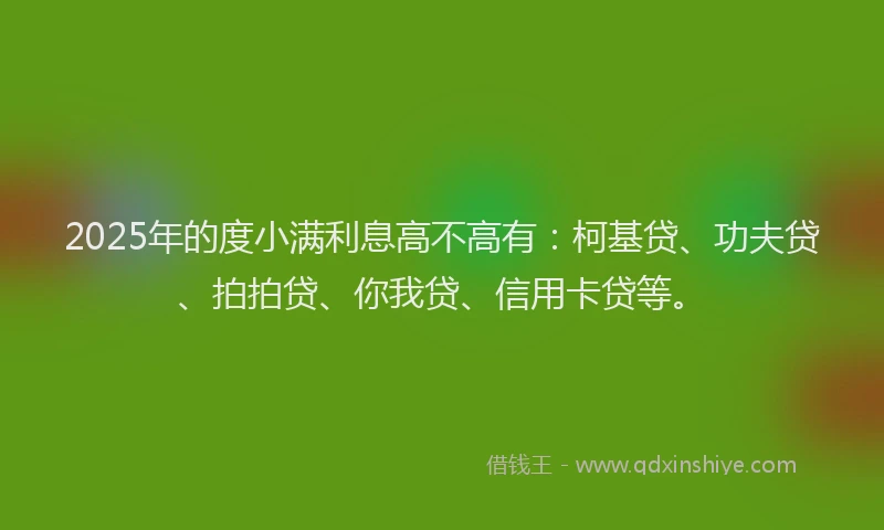 2025年的度小满利息高不高有：柯基贷、功夫贷、拍拍贷、你我贷、信用卡贷等。
