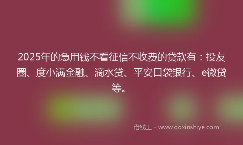 2025年的急用钱不看征信不收费的贷款有:投友圈、度小满金融、滴水贷、平安口袋银行、e微贷等。