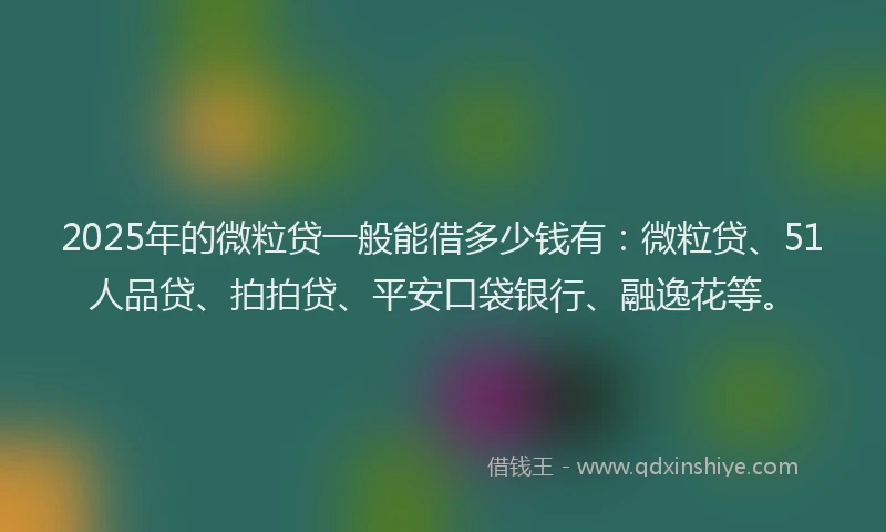 2025年的微粒贷一般能借多少钱有：微粒贷、51人品贷、拍拍贷、平安口袋银行、融逸花等。