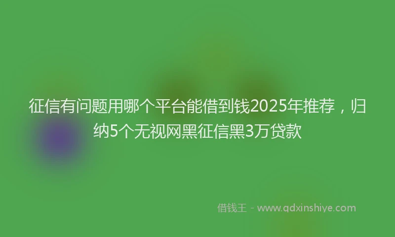 征信有问题用哪个平台能借到钱2025年推荐，归纳5个无视网黑征信黑3万贷款