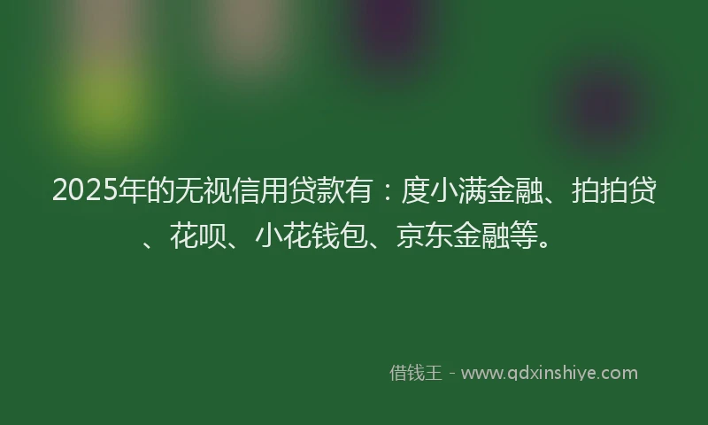 2025年的无视信用贷款有：度小满金融、拍拍贷、花呗、小花钱包、京东金融等。