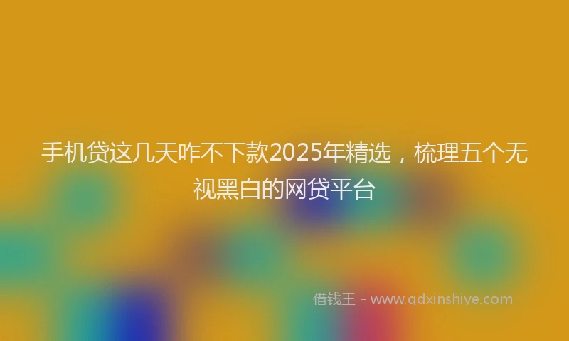 手机贷这几天咋不下款2025年精选，梳理五个无视黑白的网贷平台