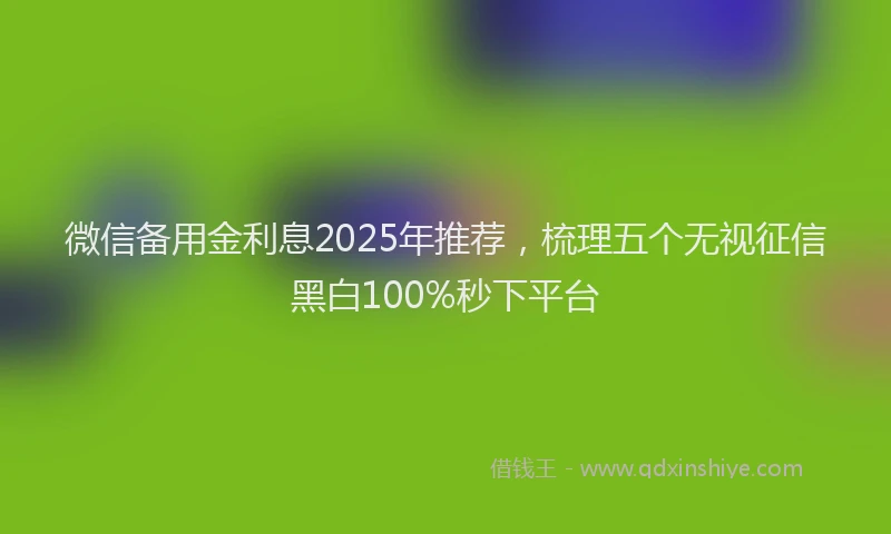 微信备用金利息2025年推荐，梳理五个无视征信黑白100%秒下平台