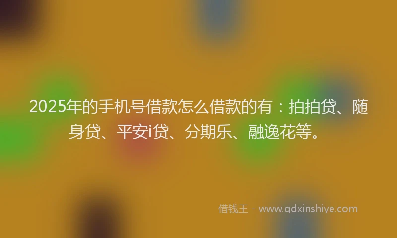 2025年的手机号借款怎么借款的有：拍拍贷、随身贷、平安i贷、分期乐、融逸花等。